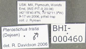 Media type: image;   Entomology 600480 Aspect: labels